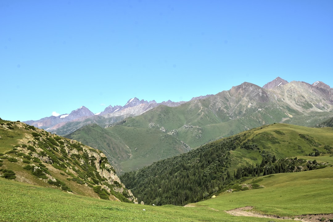 a view of a valley with mountains in the background